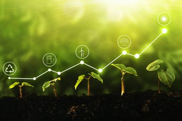 Young,Plants,Growing,At,Sunlight,With,Increase,Graph,And,Icons