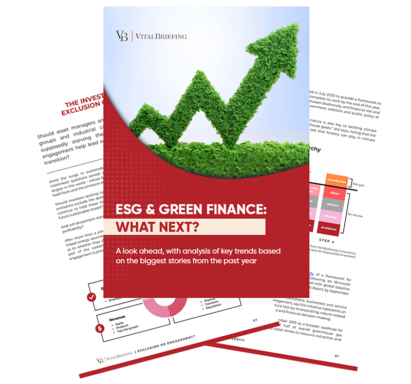 esg white paper