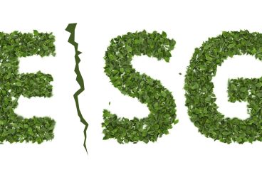 ESG letters shaped out of leaves