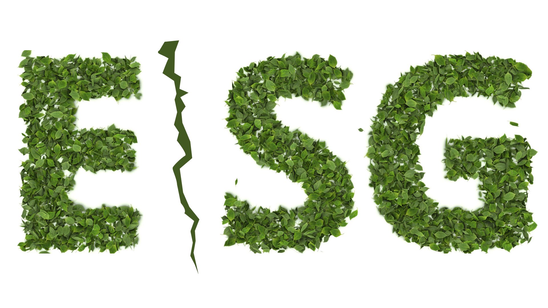ESG letters shaped out of leaves